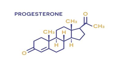 Hormon Progesteron