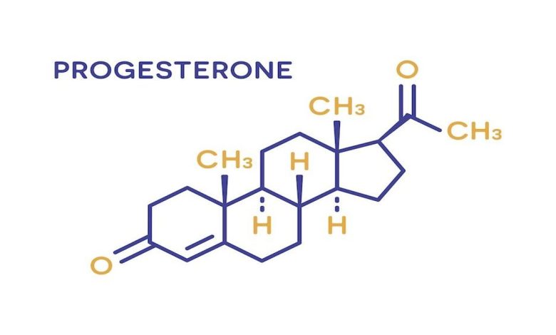 Hormon Progesteron