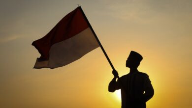 Menurut UU nomor 12 tahun 2006, yang menjadi warga negara Indonesia adalah setiap orang yang berdasarkan peraturan perundang-undangan danatau berdasarkan perjanjian pemerintah republik Indonesia dengan negara lain sebelum undang-undang ini berlaku sudah menjadi