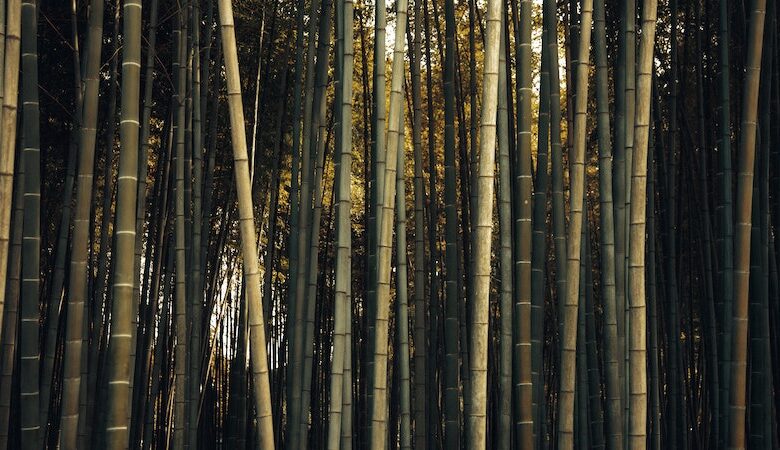 sebatang bambu yang panjangnya 12 m disandarkan pada dinding dan membentuk sudut 60o dengan lantai. jarak ujung bagian bawah bambu ke dinding adalah …. m